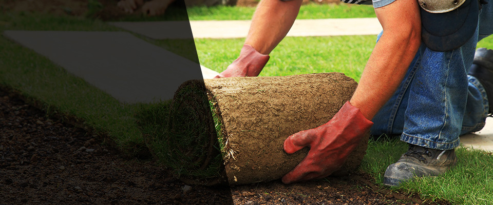 North Baltimore Landscapers